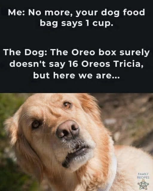 1000024356.png