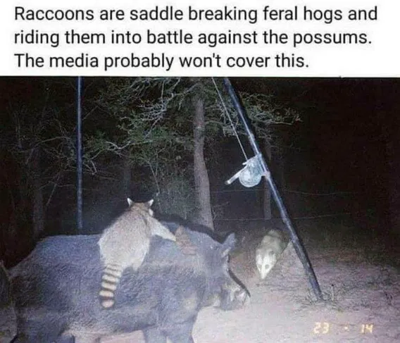 1000024450.png
