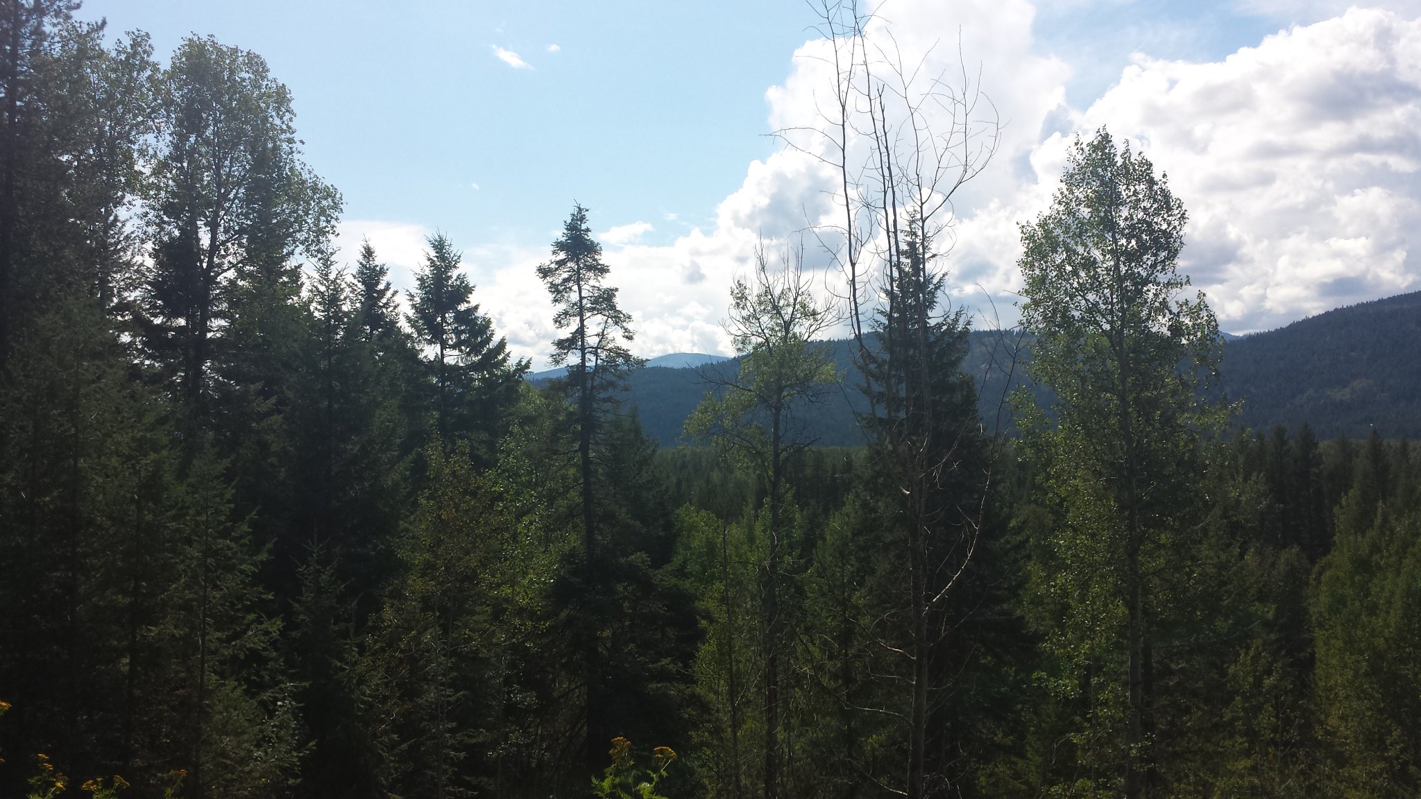 20140821_142857.jpg