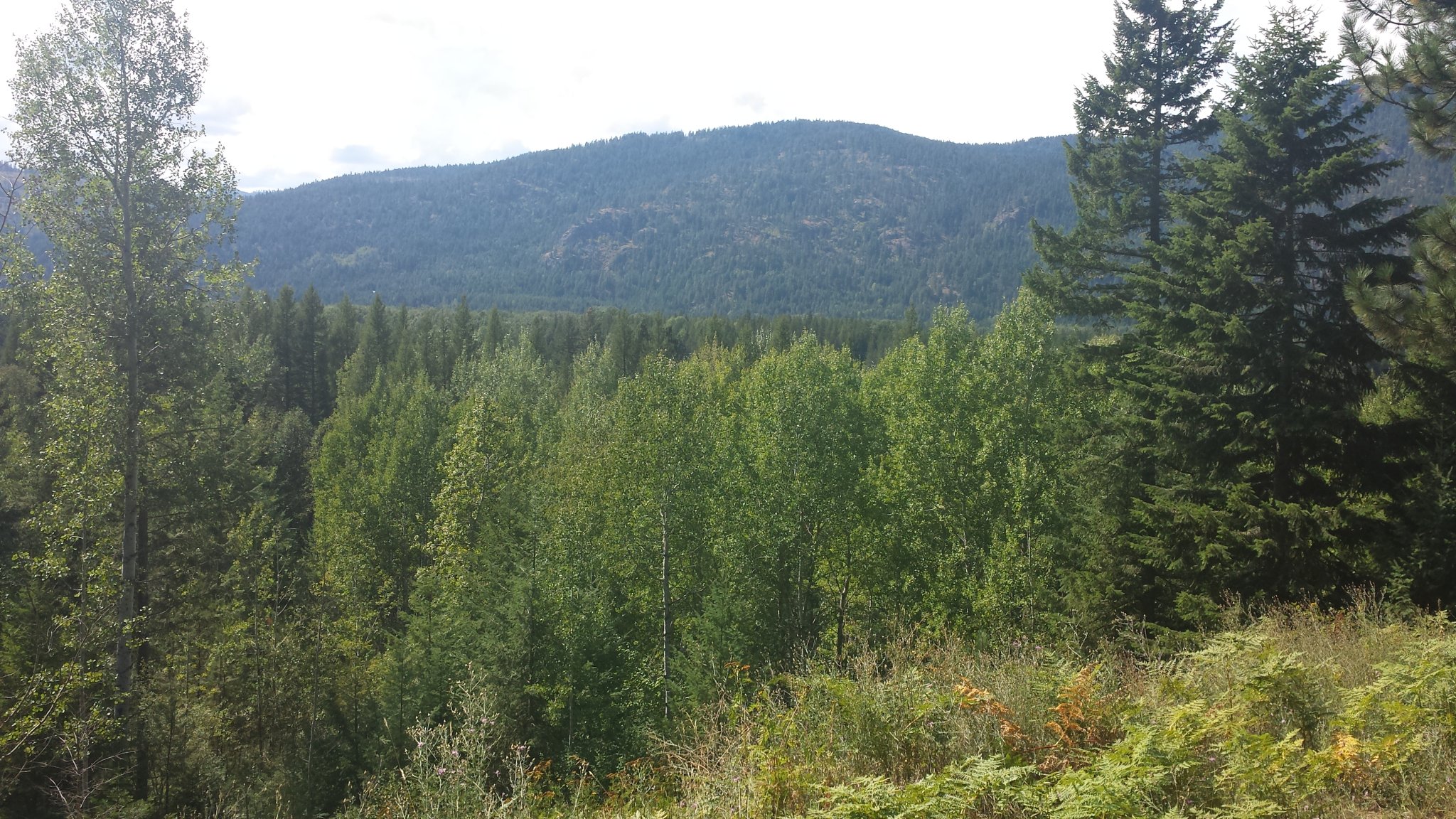 20140821_142911.jpg