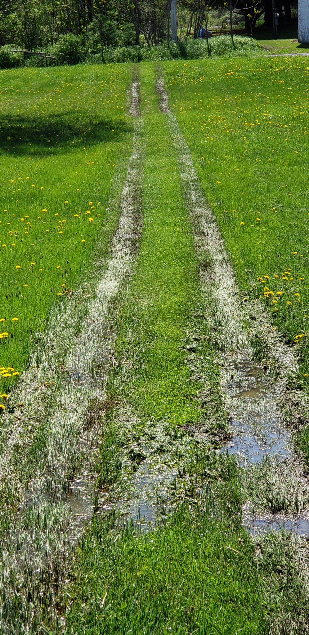 4WD Mowing.jpg