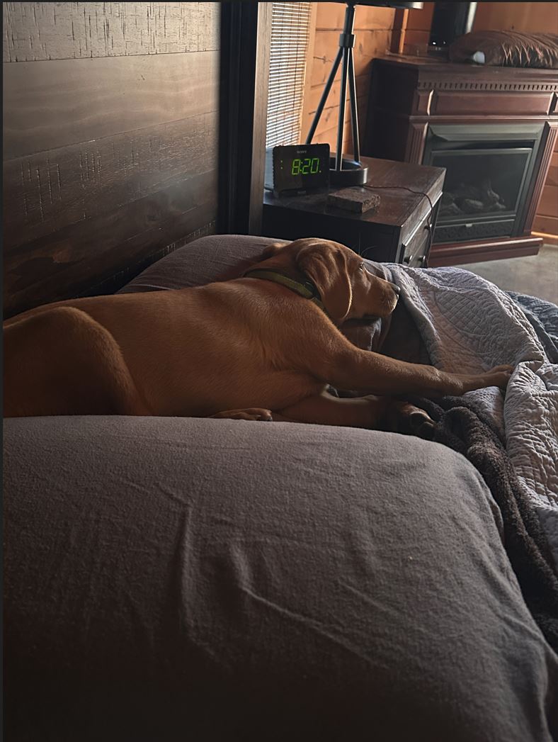 convalescence.JPG