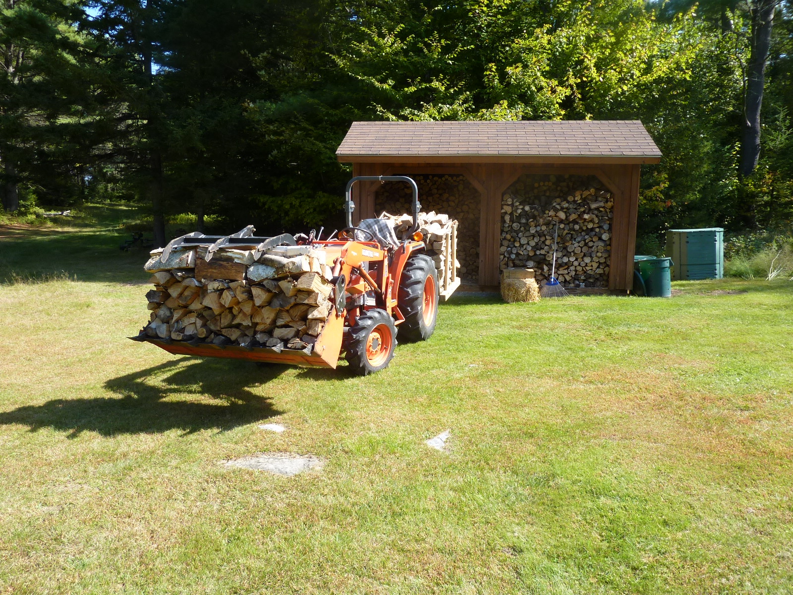 LoadOfFirewood.JPG