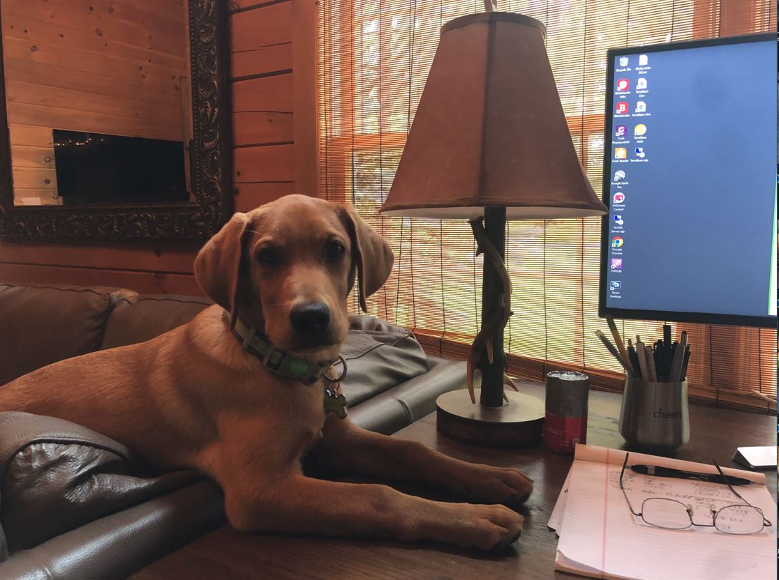 office distraction.JPG