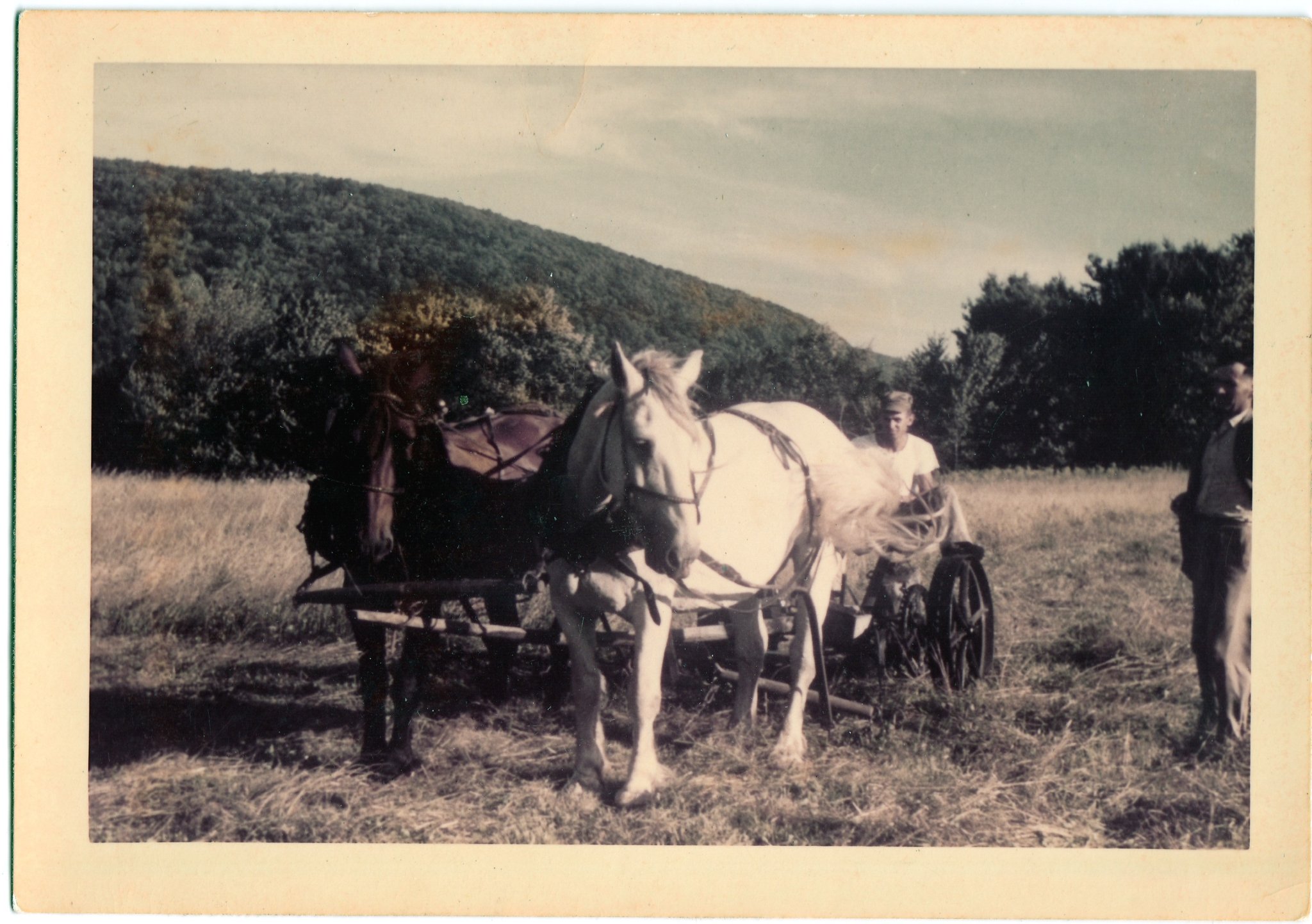 Orest Horse Mower Nov 1959.jpg