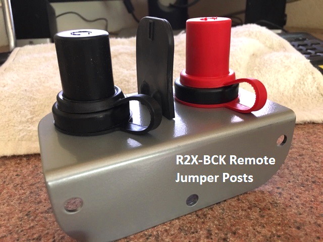 Remote Jumper1.jpg