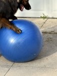 IMG_0019.jpeg