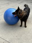 IMG_0020.jpeg