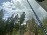 IMG_5647.jpeg