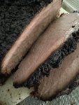 IMG_4240.jpeg