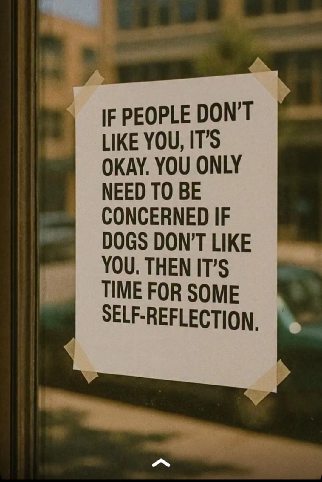 1000011419.jpg