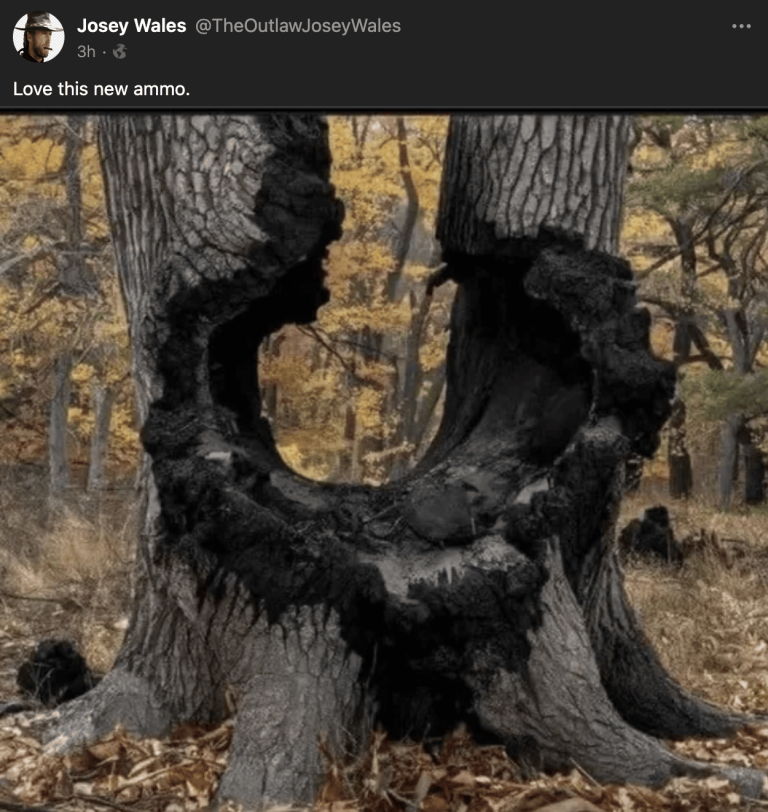 1000023891-png.png