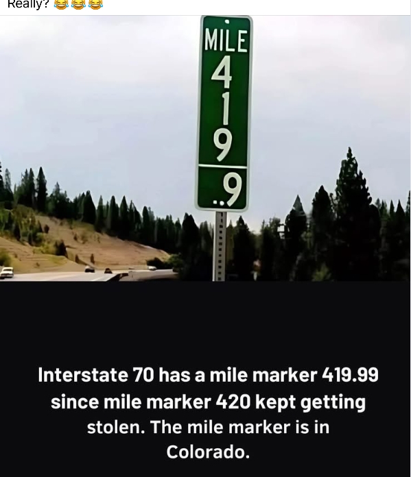 1000025483.jpg