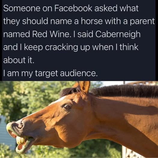 1000025601.png