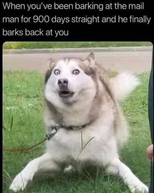 1000025629.png