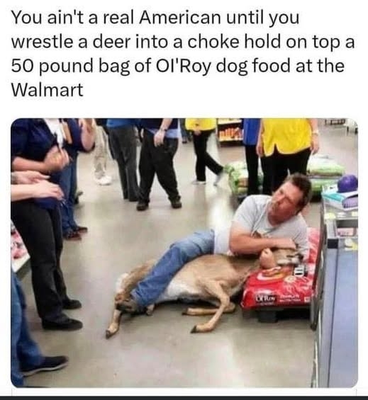 1000026204.jpg