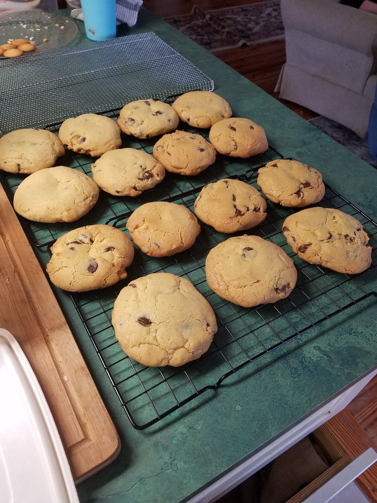 100g cookies.jpg