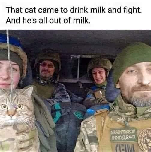 1748191223756.png