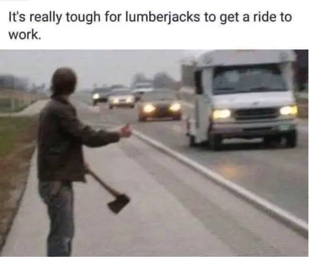 1754419838087.jpeg