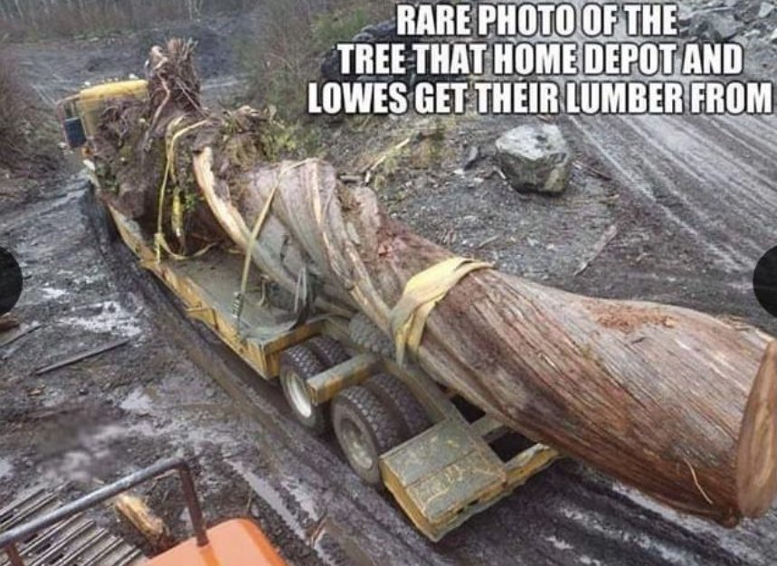 1755038586488.jpeg