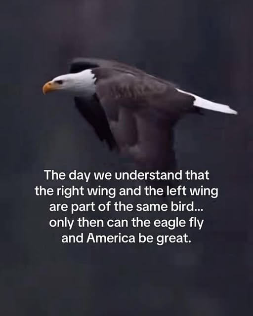 1758032017236.png