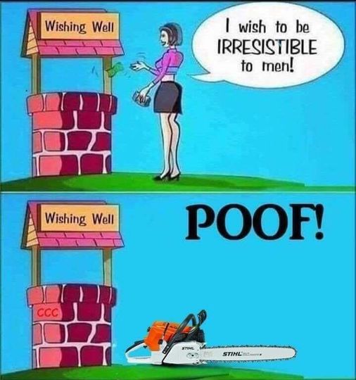1758991129452.jpeg