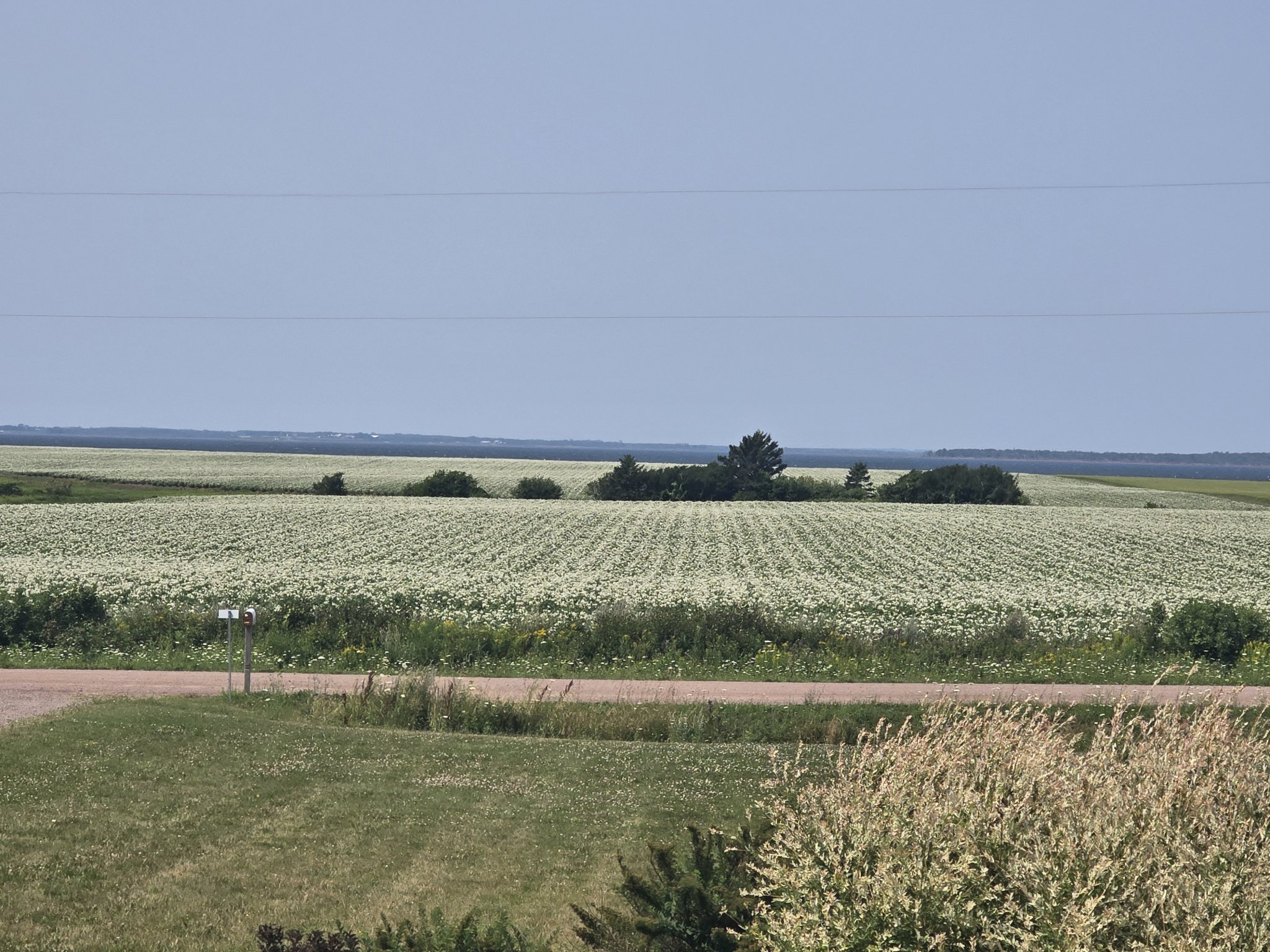 20250727_115214.jpg