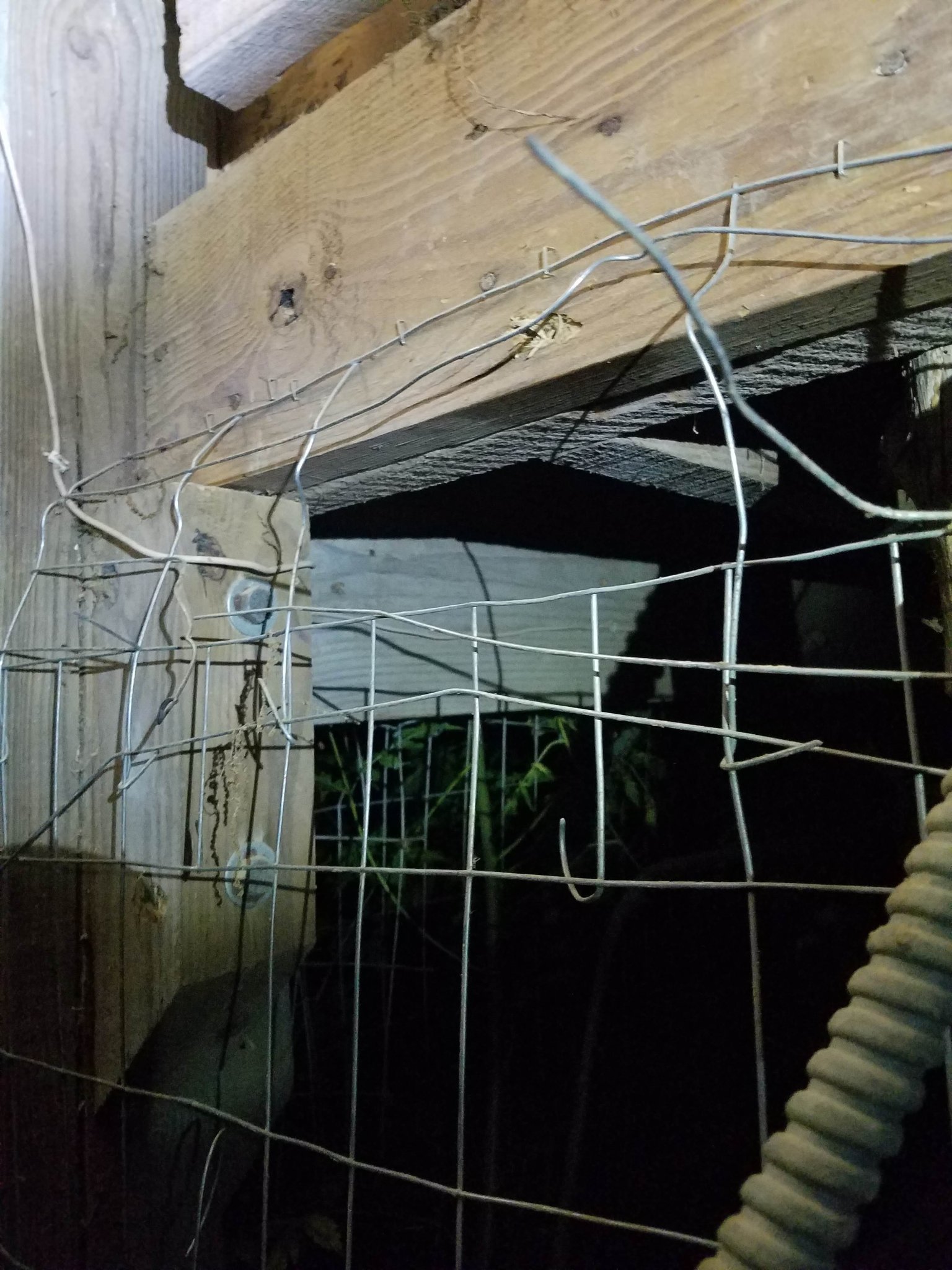 20250801_054109.jpg