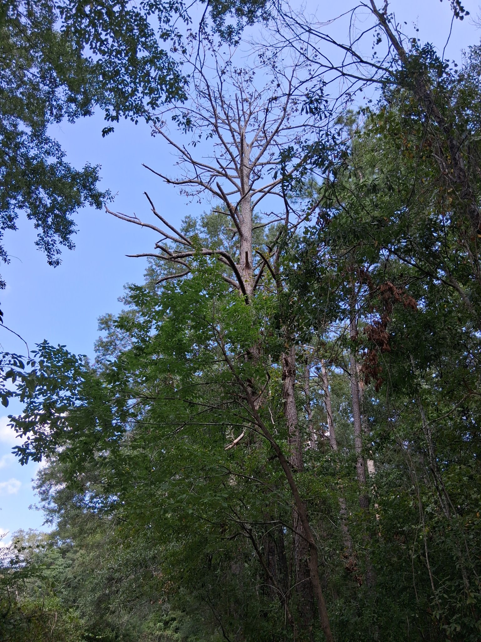 20250903_111226.jpg