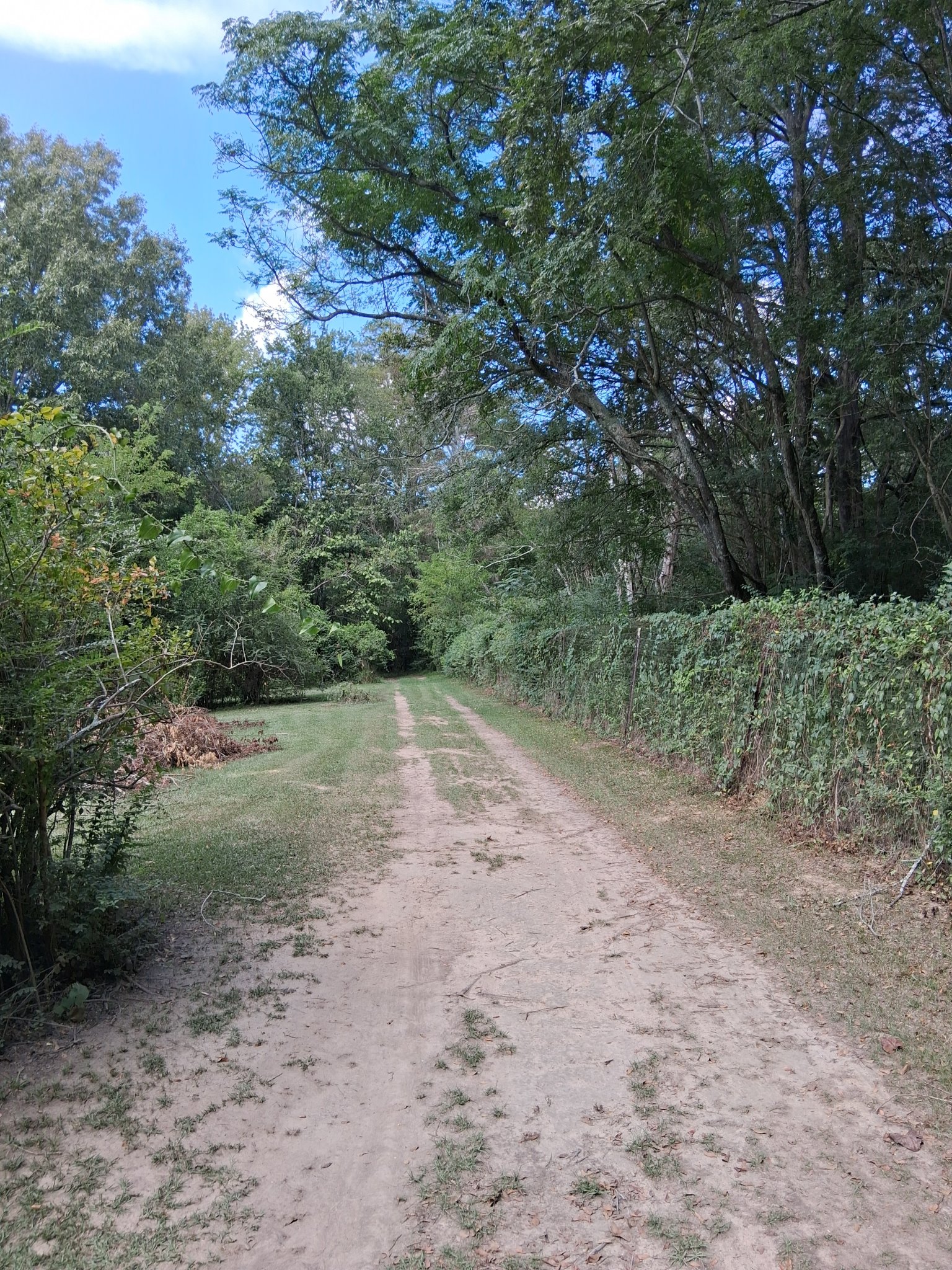 20250903_111430.jpg