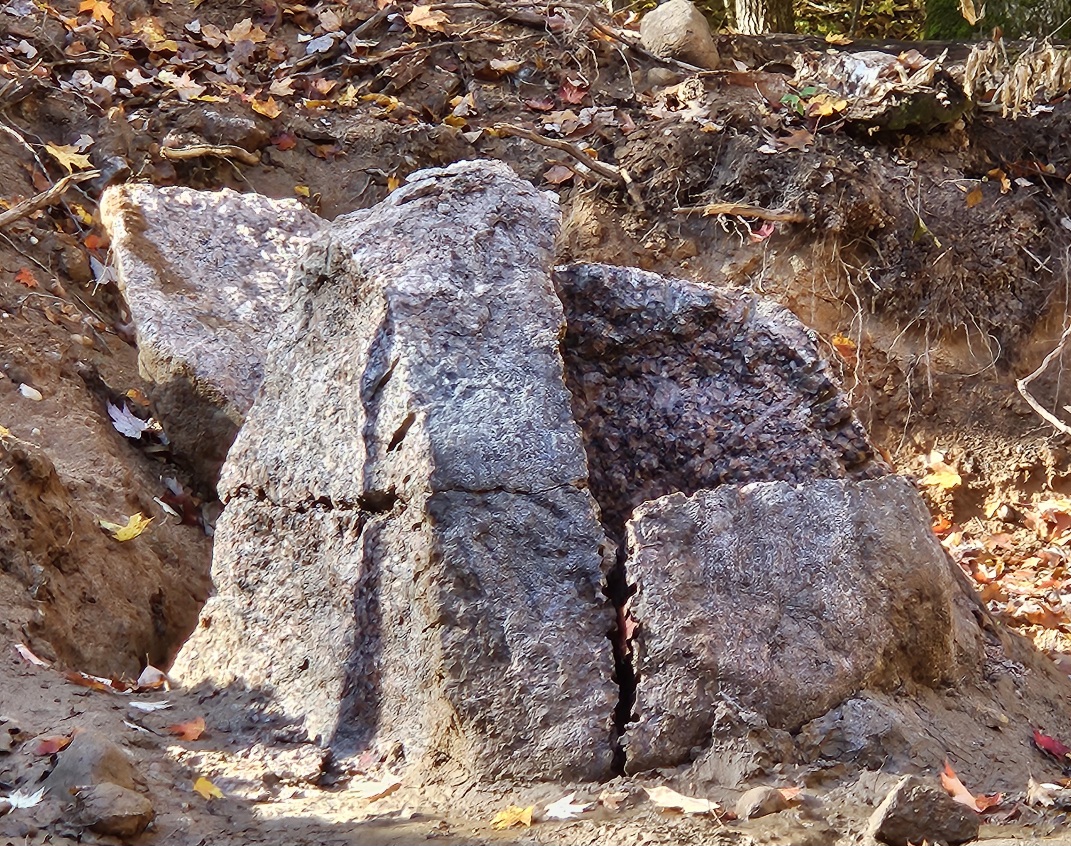 20251019_013419.jpg