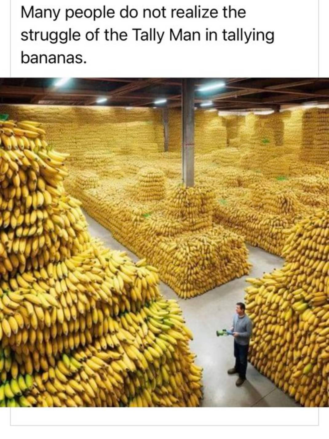 4904791178326210151.jpeg