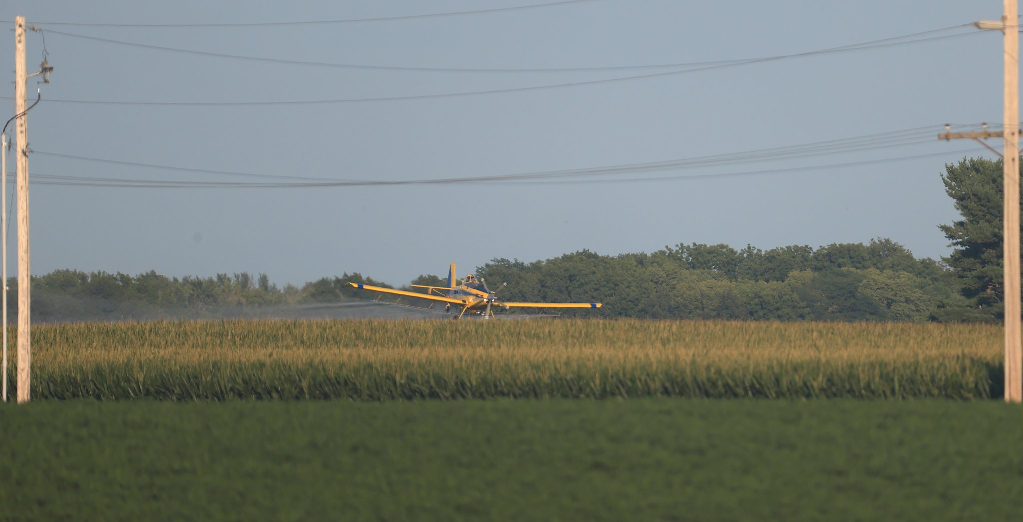 A48I4333.JPG