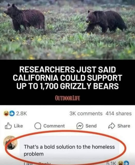 bears.png