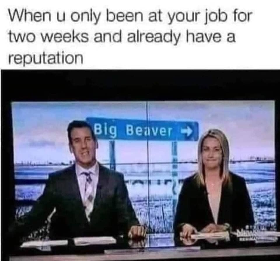 beaver.jpg