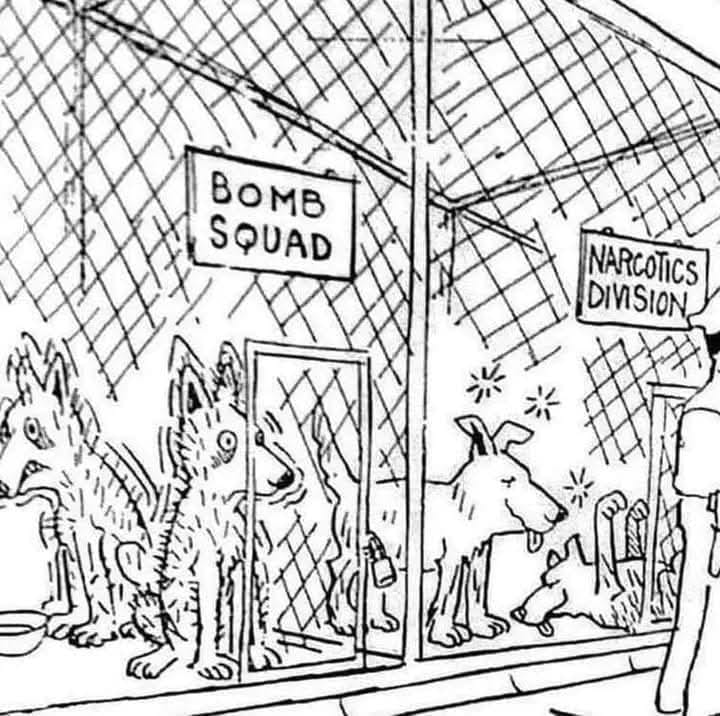 Bomb & Narcotic squads.jpg