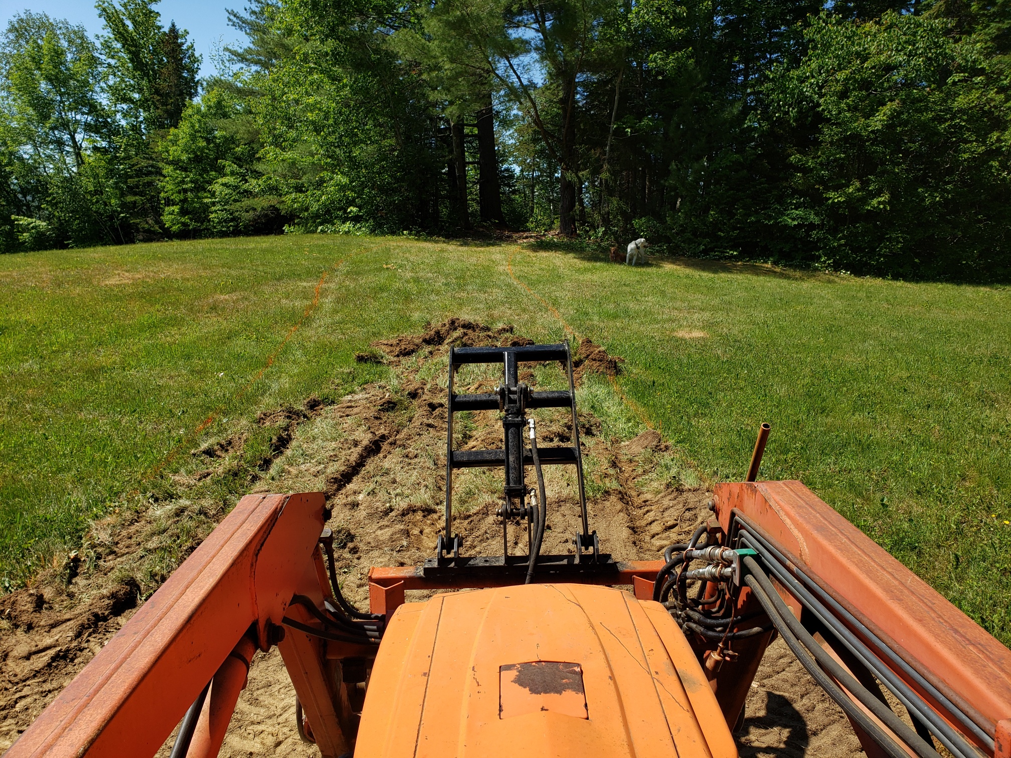 breaking sod with forks.jpg