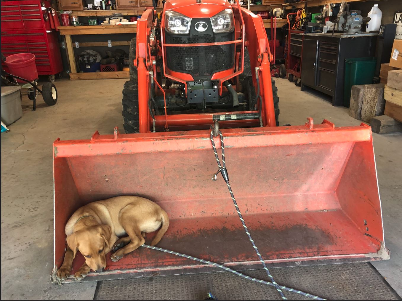 Bucket Bed.JPG