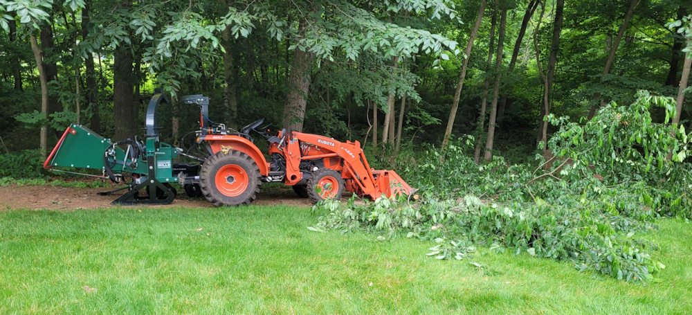 clearing for tower guy anchor 2024-06-16 123301.png