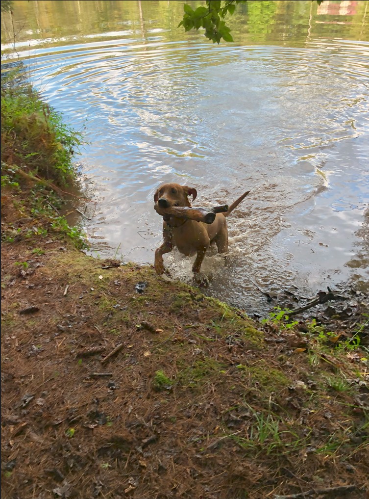 Cody Lake 7.jpg