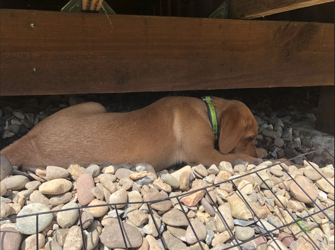 Cody tunnel rat3.JPG