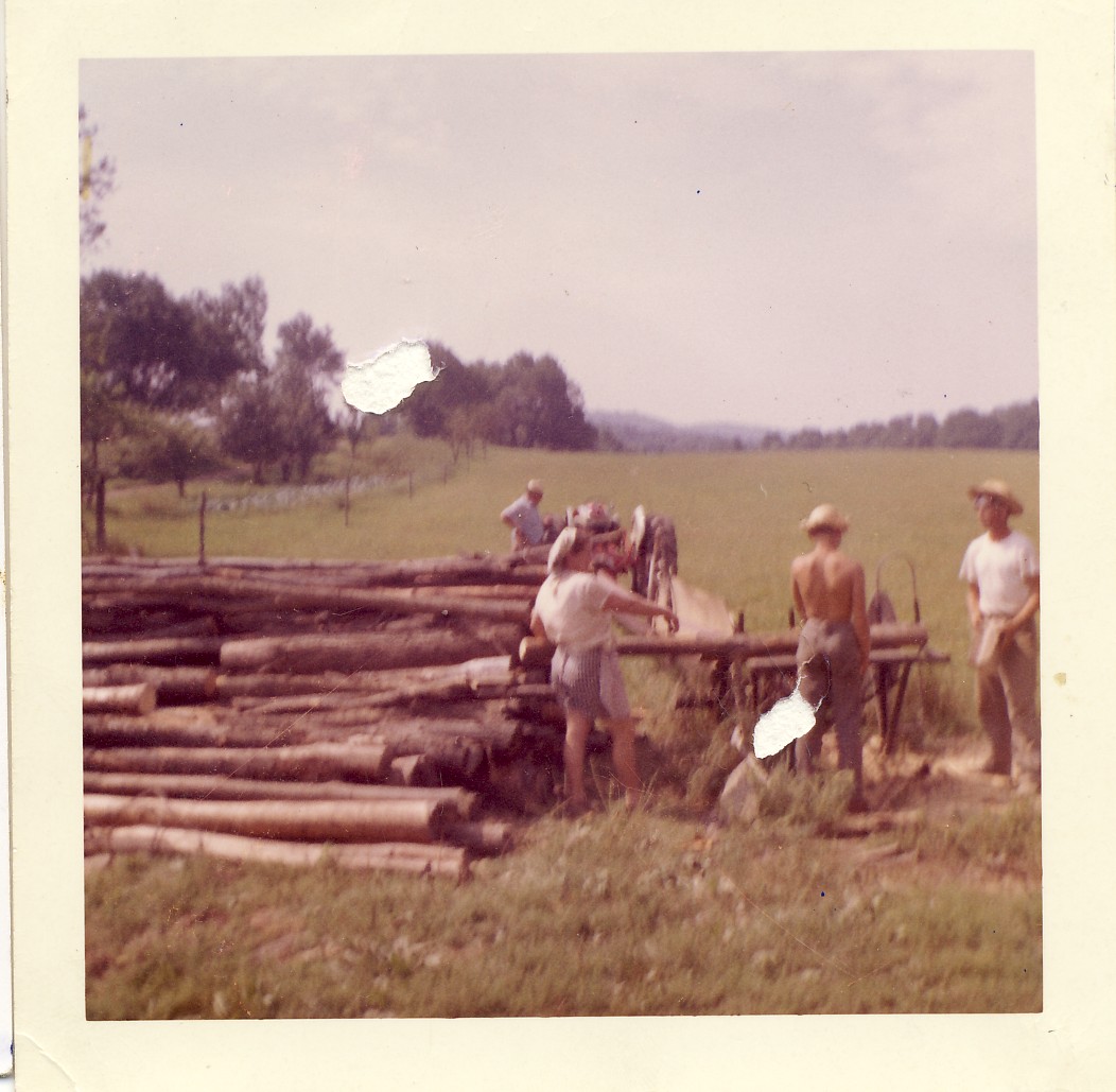 Cutting Firewood-Father,Mother,Oleh,Alex.jpg