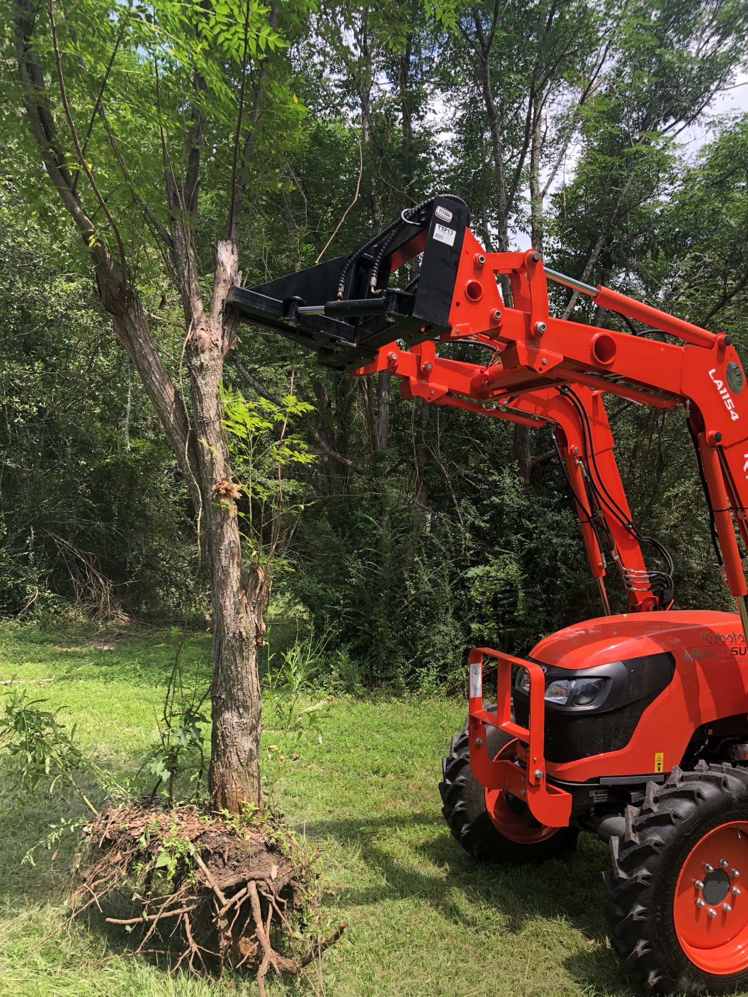 Best rope for bringing trees down  OrangeTractorTalks - Everything Kubota