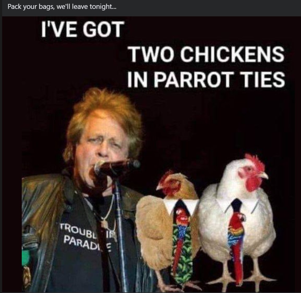 eddie money.jpg