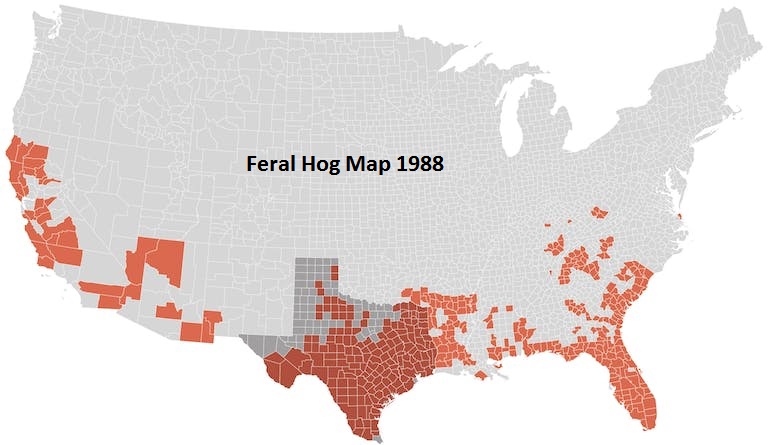 feral-hog-map-1988.jpg