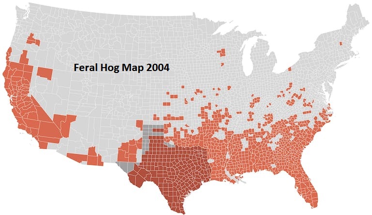 feral-hog-map-2004.jpg