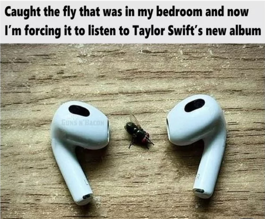 fly.jpg