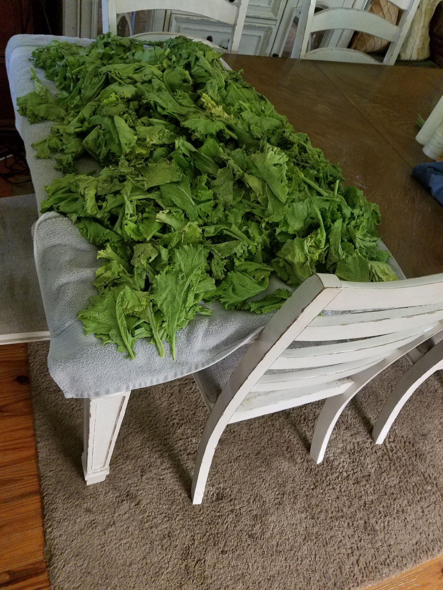 greens.jpg