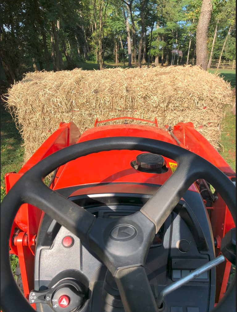 horse hay 8_13_25.jpg