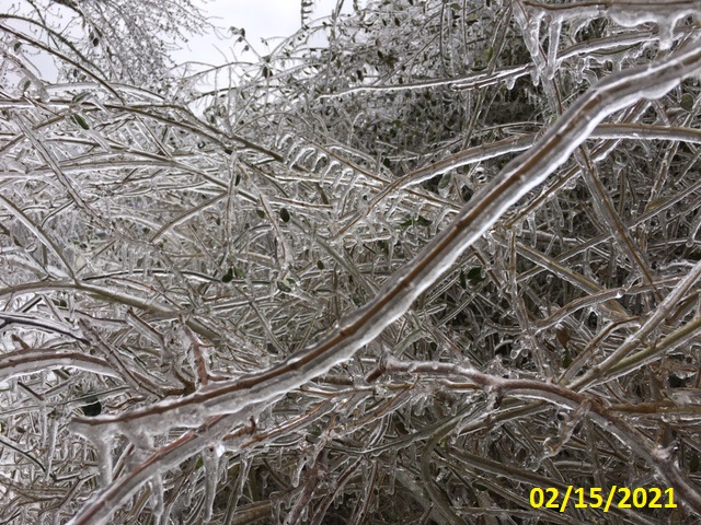 ICE storm.jpg